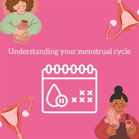 Image result for Period Cycle Explained