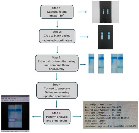 Portable Raspberry Pi Platform for Automated Interpretation of Lateral ...