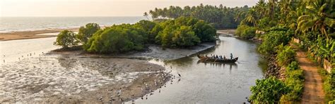 Kadalundi Bird Sanctuary, Kerala - Timings, History and Travel Tips ...