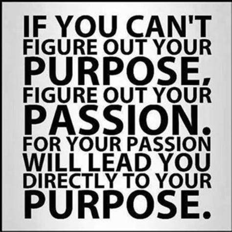 Follow the Example 的图像结果