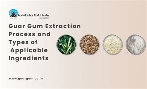 Guar Gum Extraction Process and Types of Applicable Ingredients