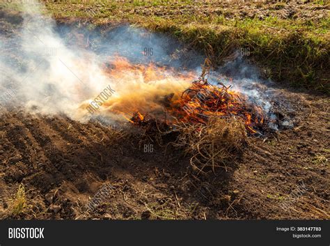 Slash--burn Image & Photo (Free Trial) | Bigstock
