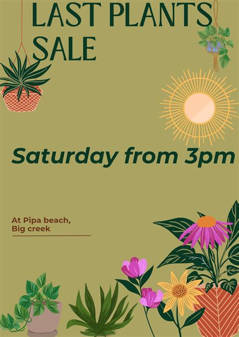 Tiagos Last Plant Sale Before 2026, PIPA BEACH BOCAS, Bocas Del Toro ...