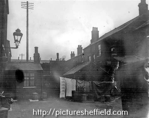 Searching Picture Sheffield