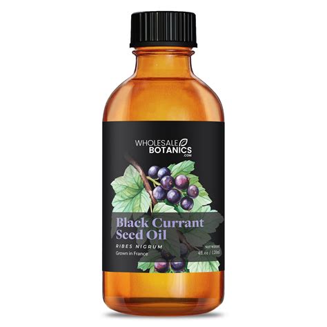 Black Currant Seed Oil — Wholesale Botanics