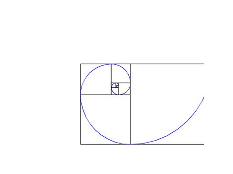 Beautiful Math Patterns 的图像结果