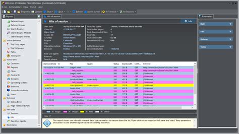 Web Log Analyzer 的图像结果