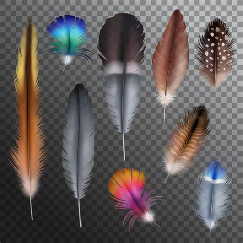 Shuttle Cock Feather Texture 的图像结果