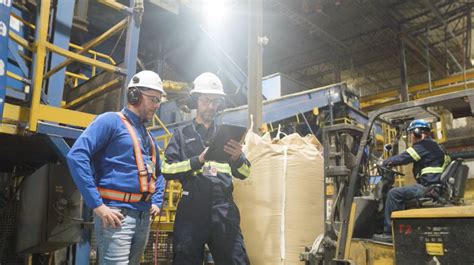 Image result for Visual Data Management System