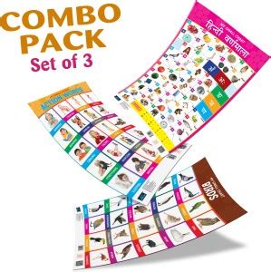 Bookford Publications My small chart Birds, Action Words & Hindi ...