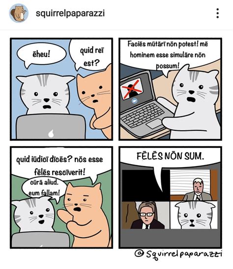 AMBIL SEKARANG