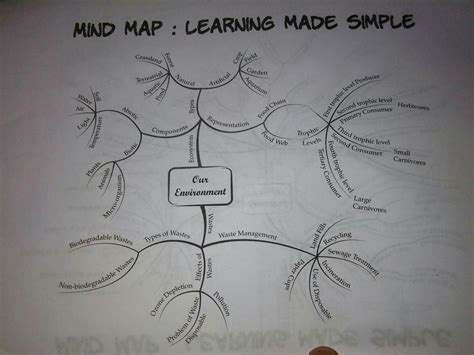 Give me the mind map for the lesson our environment (class 10)(Don't ...