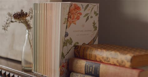 Image result for ESV Scripture Journal Set