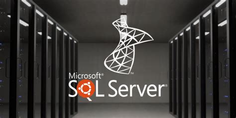 Image result for Microsoft SQL Server Install