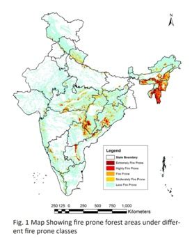 Extreme Wildfires Set to Get Worse Globally, Says UN - GS SCORE