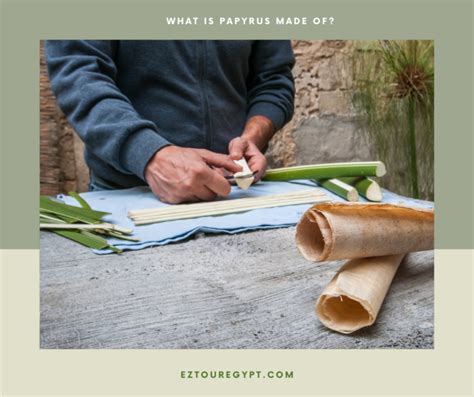 Image result for Papyrus Process