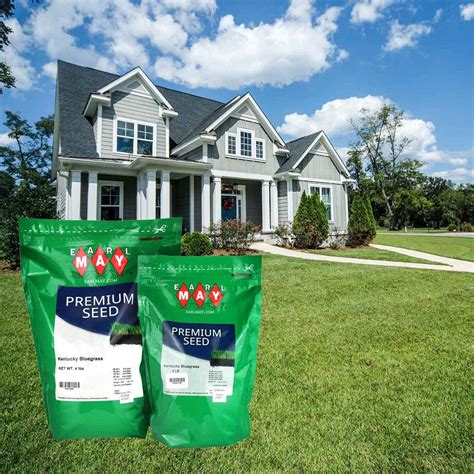Kentucky Bluegrass Seed | Earl May