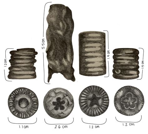 When Nature Meets Art: Crinoid Fossils as Cultural Beads