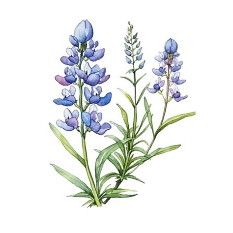 Texas811 Portal Plus | Complete & Accurate Record