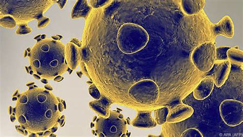Coronavirus: Update Sonntag, Nord- und Osttirol - UnserTirol24