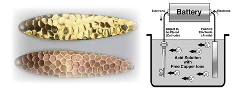 Electroplating Project for Class 12 的图像结果
