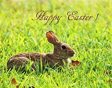 Image result for Easter Bunny Rabbits Pictures to Coulr In