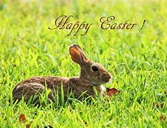 Image result for Easter Bunny Carrot Cartoon