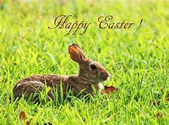Image result for Cute Easter Bunny and Chick