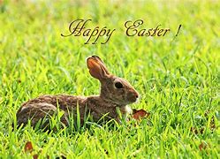 Image result for Easter Bunny Drawing Ideas