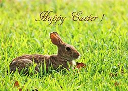 Image result for Twinkl Easter Bunny
