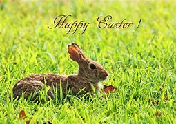 Image result for Easter Bunny Vector
