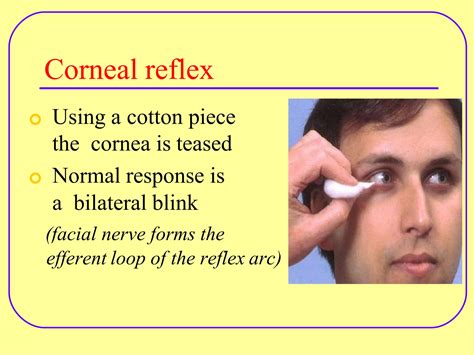 cranial-nerve-examination-converted-part-1.docx