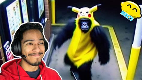 Image result for Random Clips On Internet