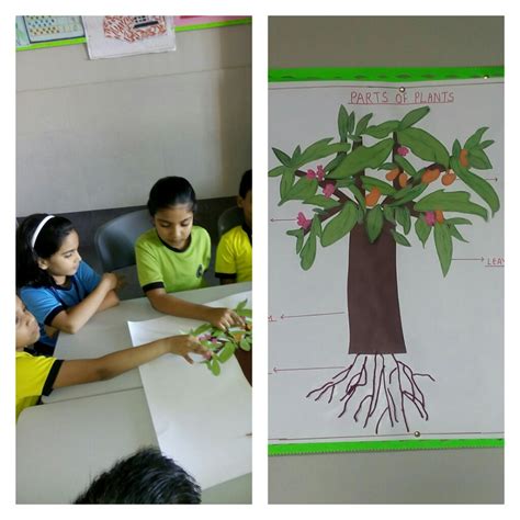 Image result for Class 2 Science Plant