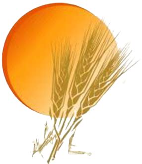 Most Recent Obituaries | Miller Carlin Funeral Homes