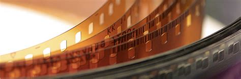 Scanning Disk Negatives 的图像结果