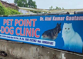 3 Best Veterinary Hospitals in Agra - Expert Recommendations