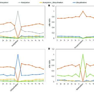 Image result for Methylation Reaction in Post Translational Modification