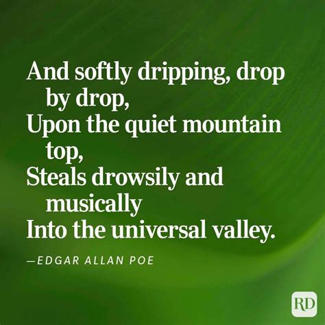 Nature Poems 的图像结果