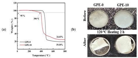 Poly (Vinylidene Fluoride-Hexafluoropropylene)–Lithium Titanium ...
