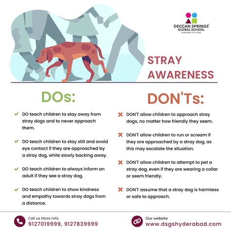 Stray Awareness | Dog bite prevention, Dog biting, Pet health care
