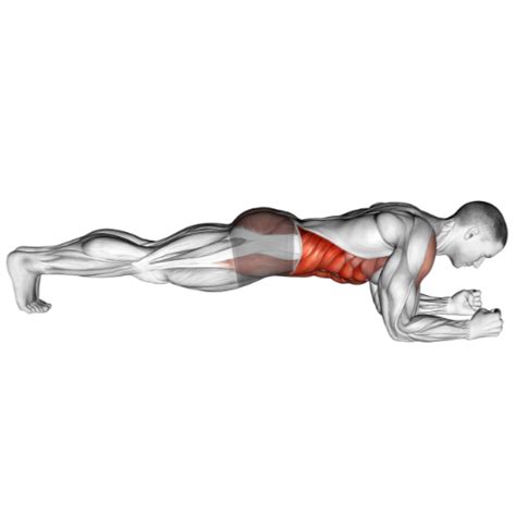Image result for High Plank Exercise