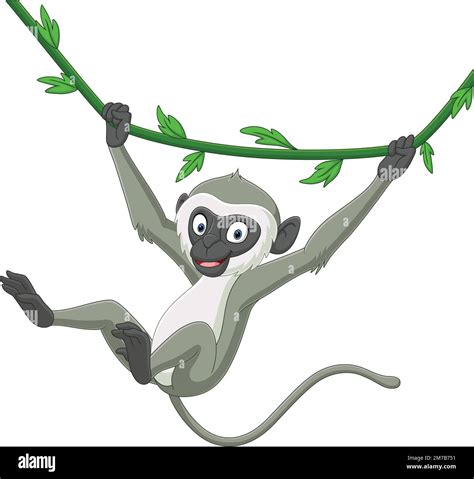 Cute langur monkey cartoon hanging Stock Vector Image & Art - Alamy
