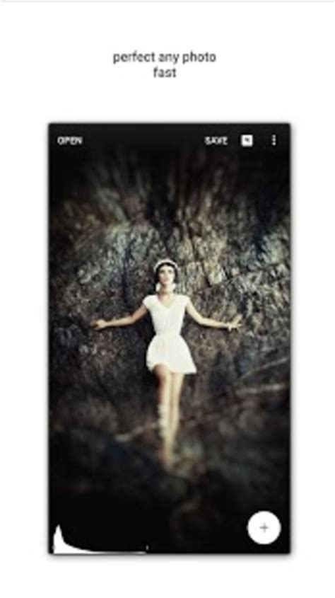 Snapseed for Android 的图像结果