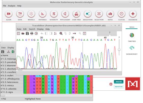 Mega Software Installation 的图像结果