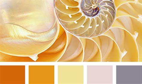 Tips For Choosing The Right Paints For Your House / Home - Decor My Place