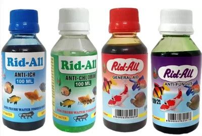 RGDECOR Cocopeat Powder 2 Kg - 100% Natural and Organic Coco peat ...