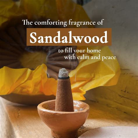 Boond Fragrances Sandali Dhoop - Pure Sandalwood Incense Cones