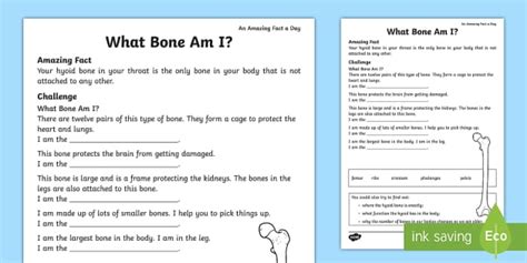 Which Bone Am I? Worksheet