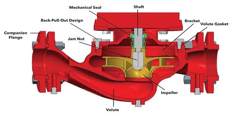 Bell & Gossett Be9006T Series e-90 All Bronze Pump 1-1/4" Flg 1/2HP ...